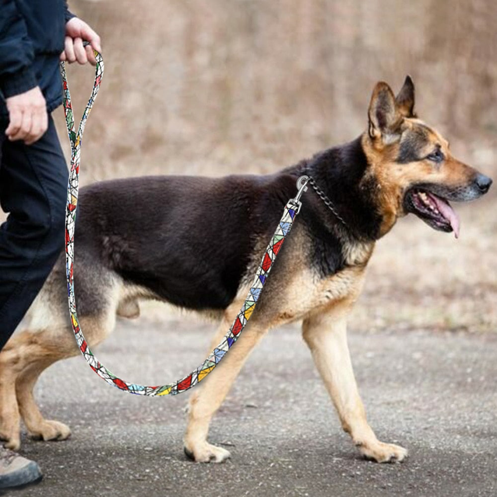 Durable Printed Nylon Dog Leash