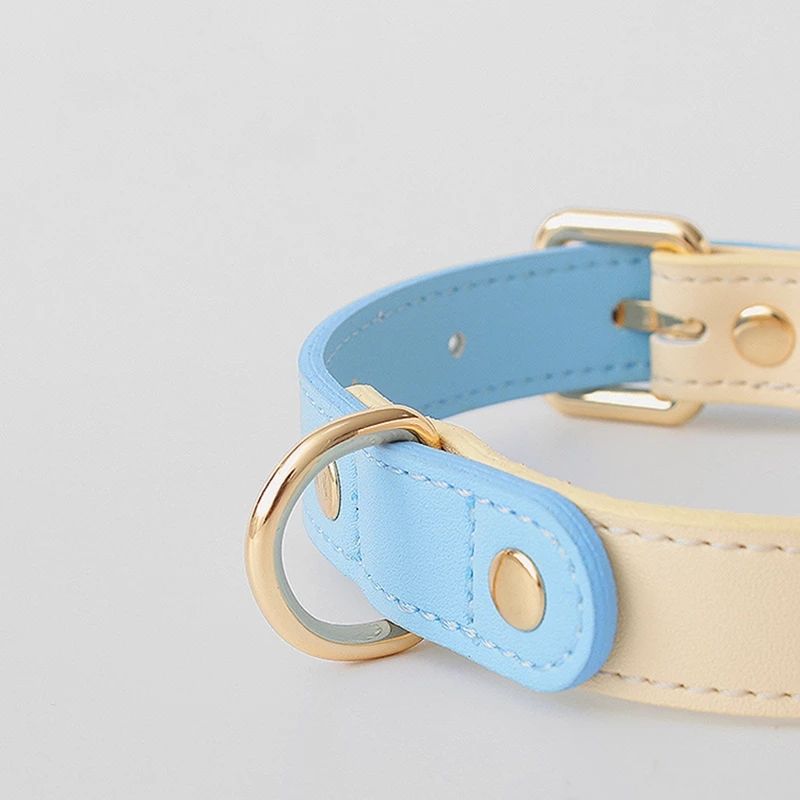 Leather Pet Dog Cat Collar