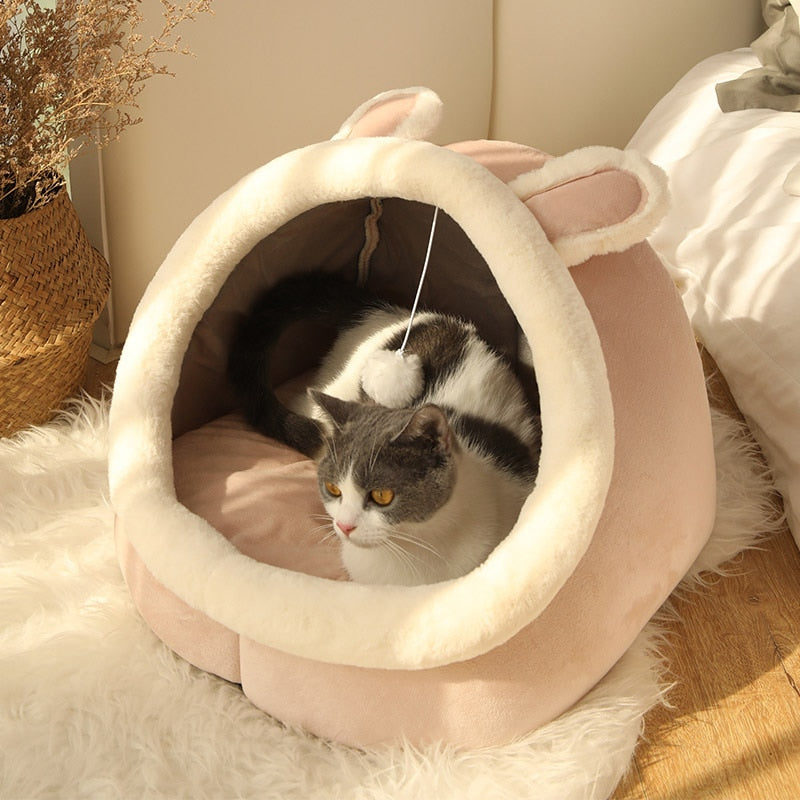 Sweet Pet Cat Bed