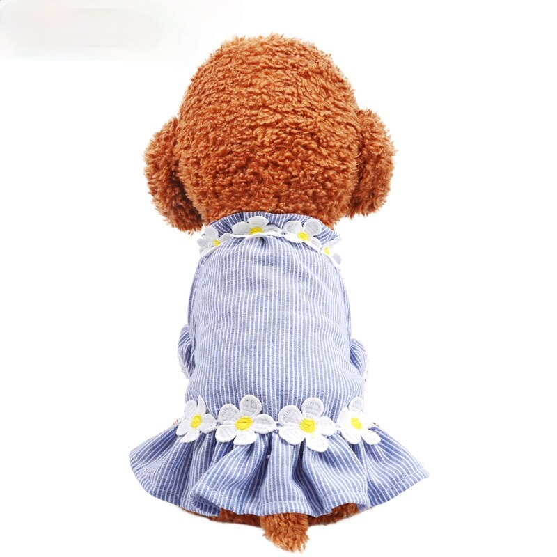 Pet Dog Clothes Cat Spring and Summer