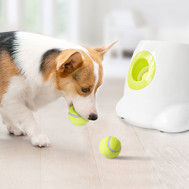 Automatic Dog Ball Launcher