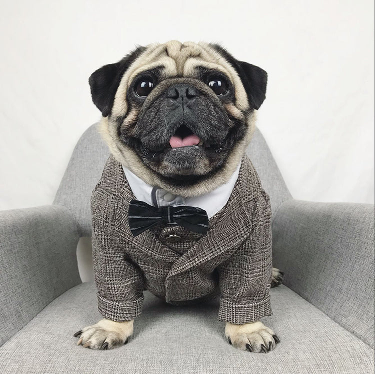 Pet Wedding Outfit for Small Dogs