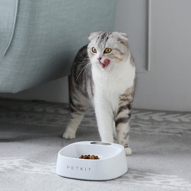 Pet Cat Dog smartbowl digital feeder scale bowl