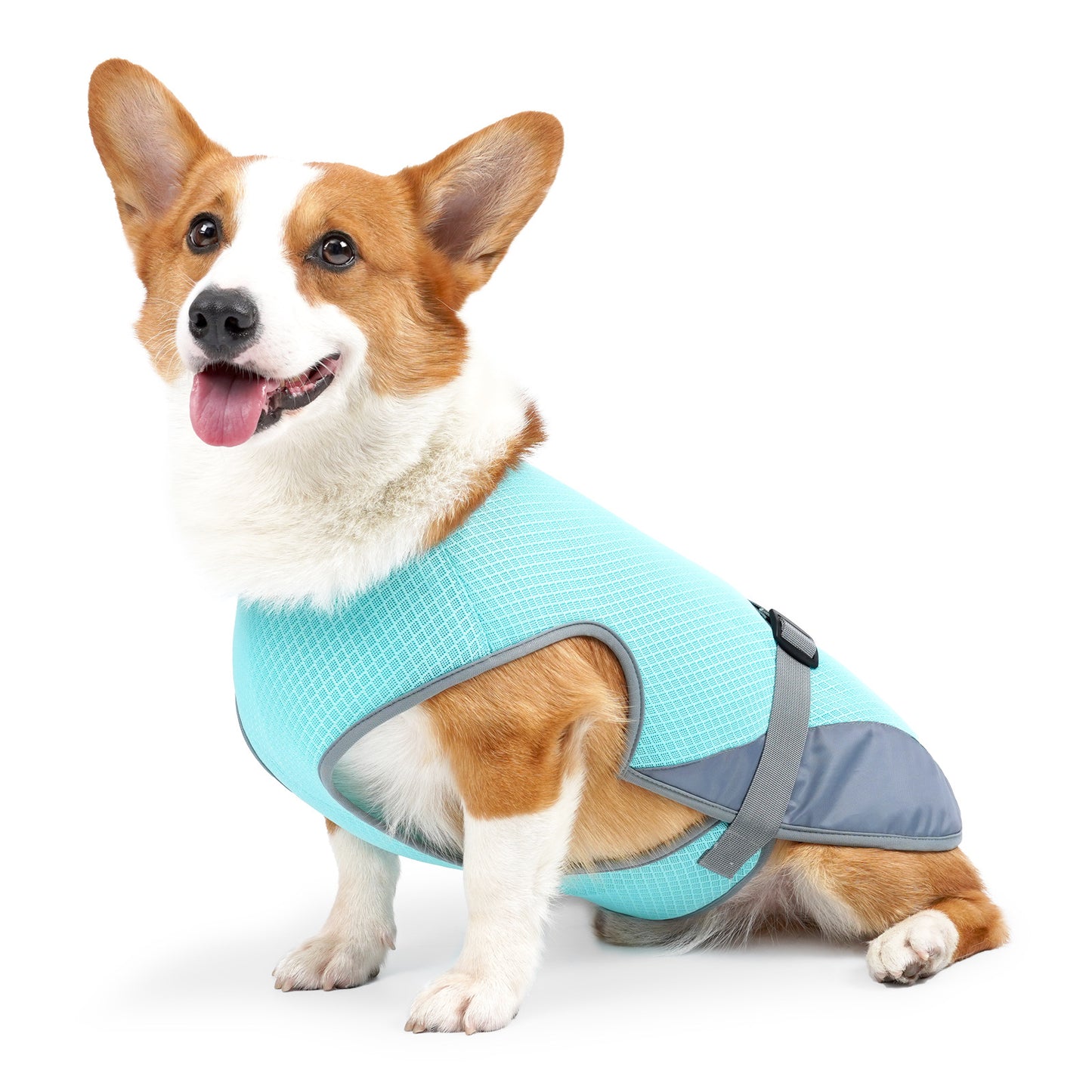 Pet Dog Cooling Clothing