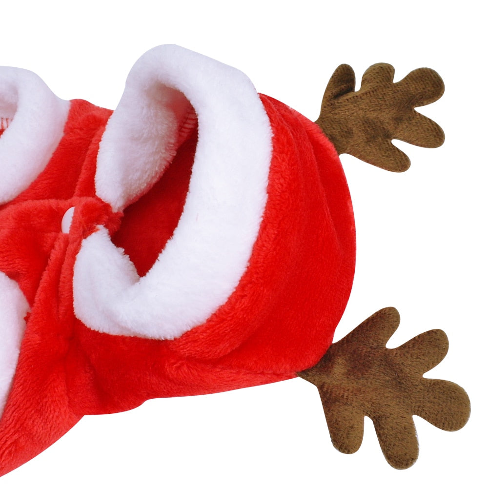 Santa Costume for Small Dogs