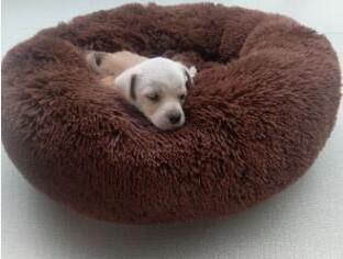 Pet Dog Cat Bed Donut Cuddler Round Kennel