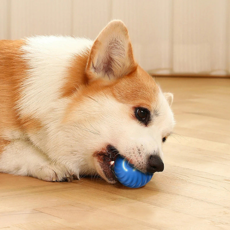 Smart Interactive Dog Toy Ball