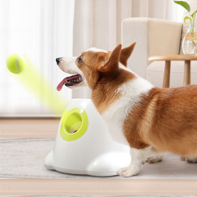 Automatic Dog Ball Launcher