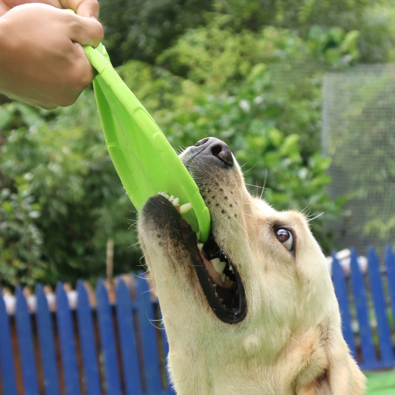 Interactive Dog Frisbee Toy