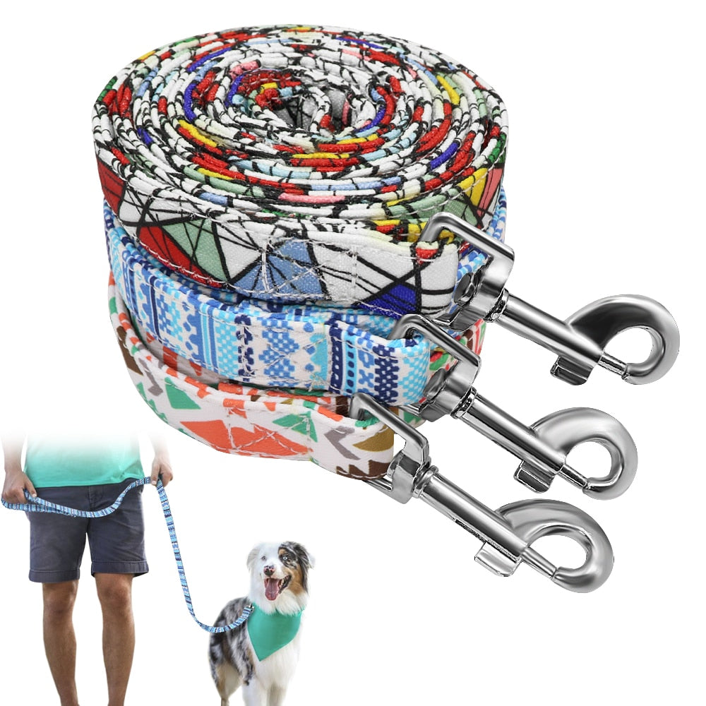 Durable Printed Nylon Dog Leash