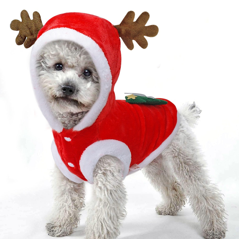 Santa Costume for Small Dogs