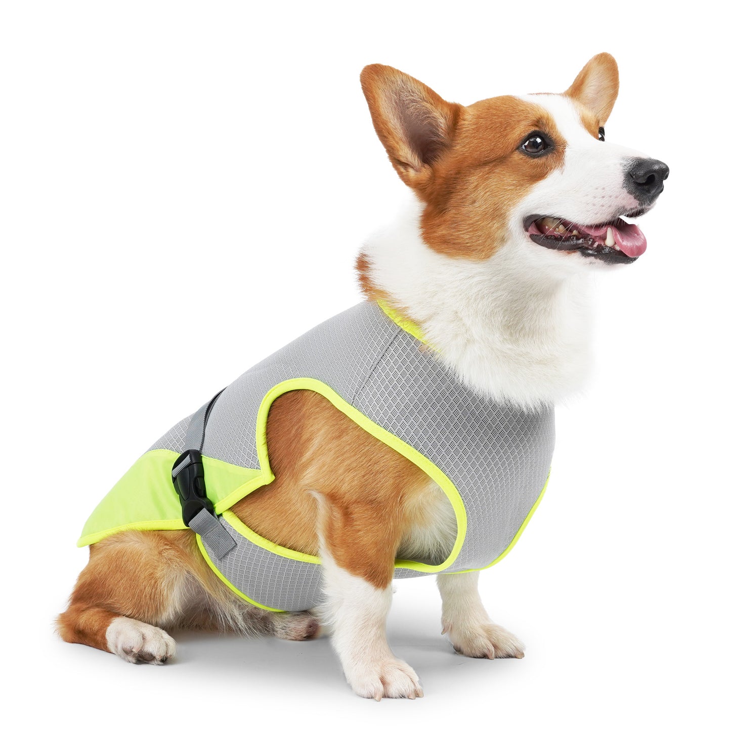 Pet Dog Cooling Clothing