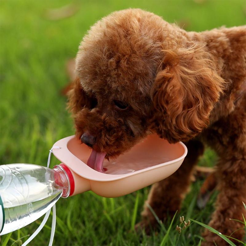 Portable Pet Dog Cat Water Bottle