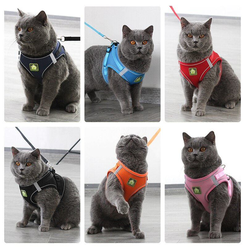 Adjustable Reflective Dog Cat Harness Set