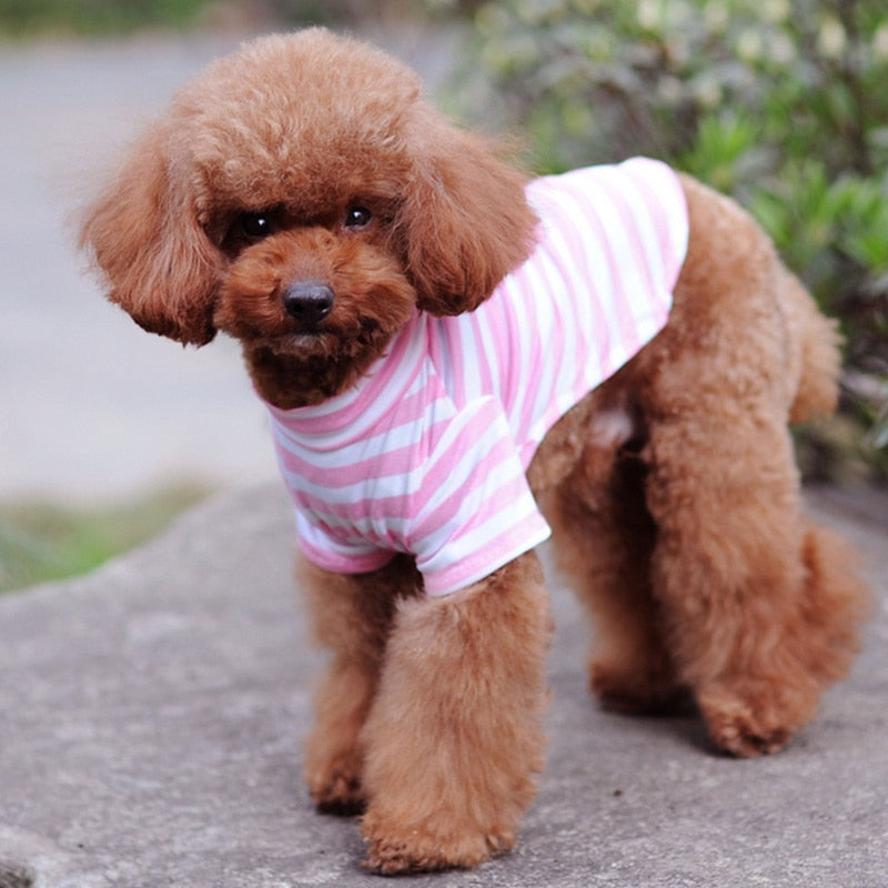 Summer Pet Dog Cat Clothes