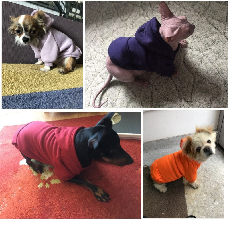 Dogs Hooded Sweater Coat