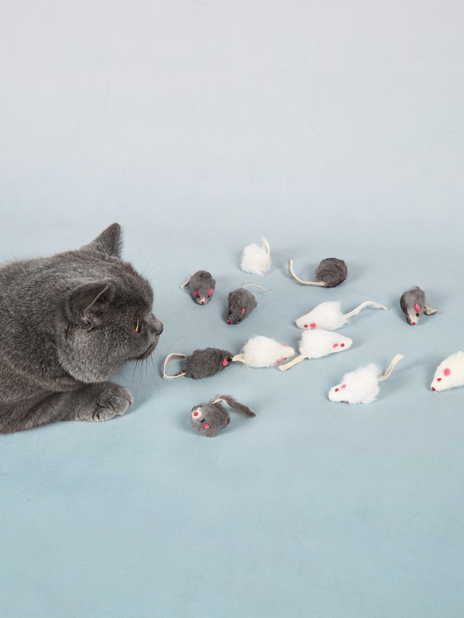 12pcs Mouse (Cat,Dog Toys)