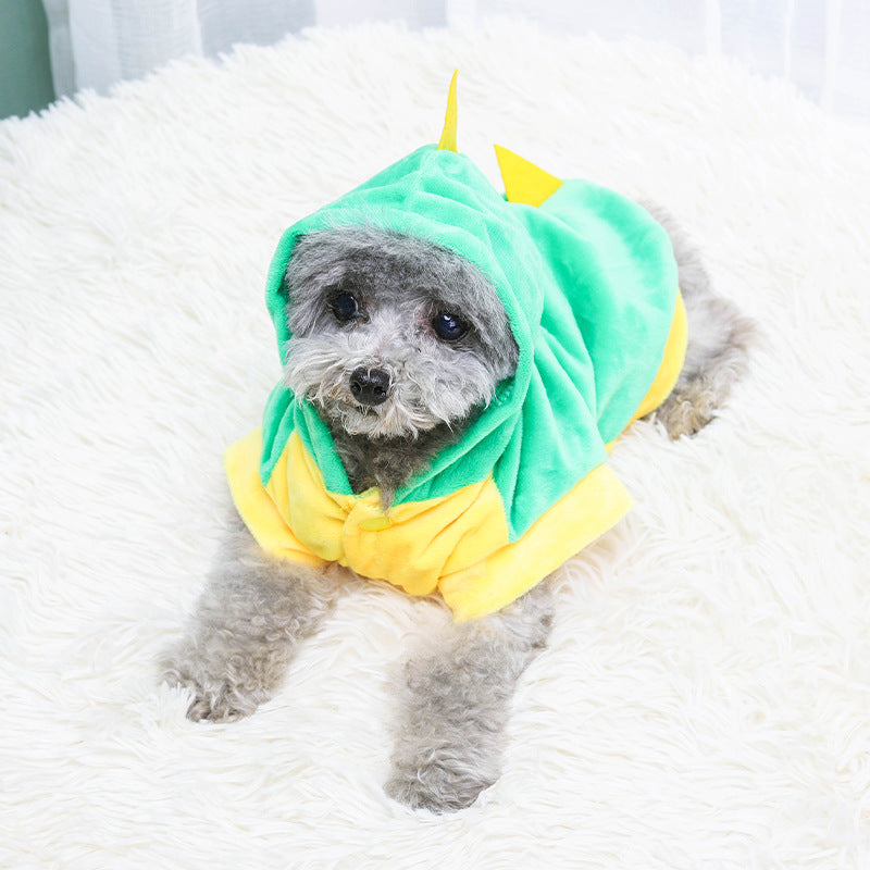 Funny Dinosaur Costume Pet Clothes