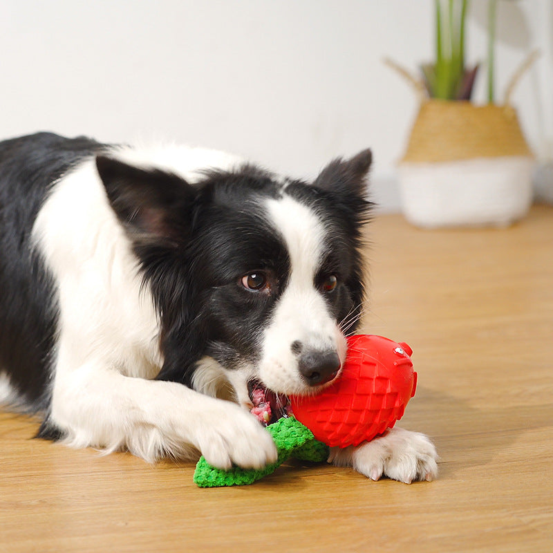 Rubber Vocalization Dog Toy for Teeth Cleaning