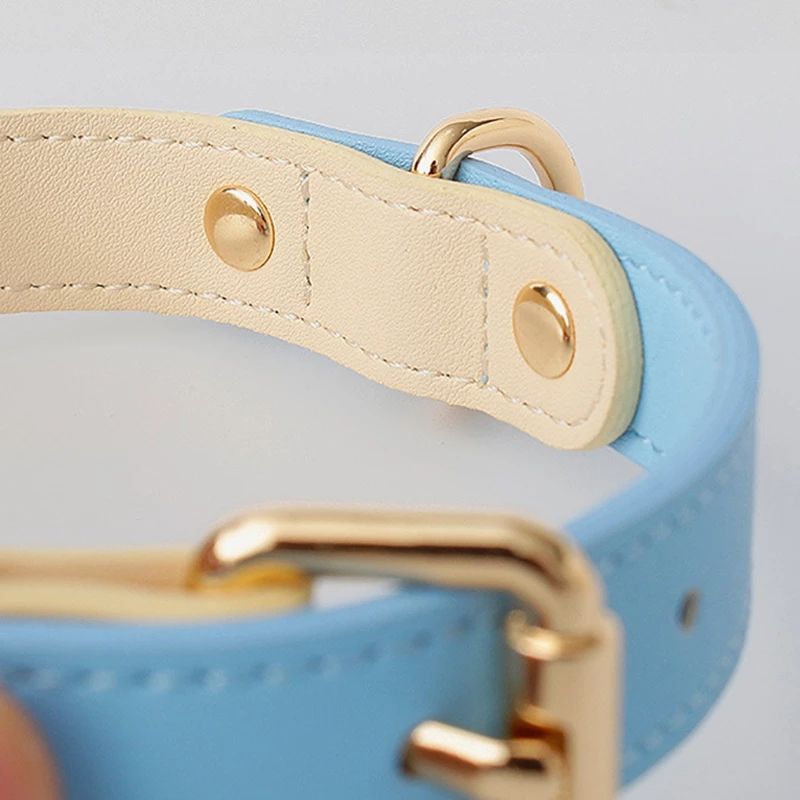 Leather Pet Dog Cat Collar