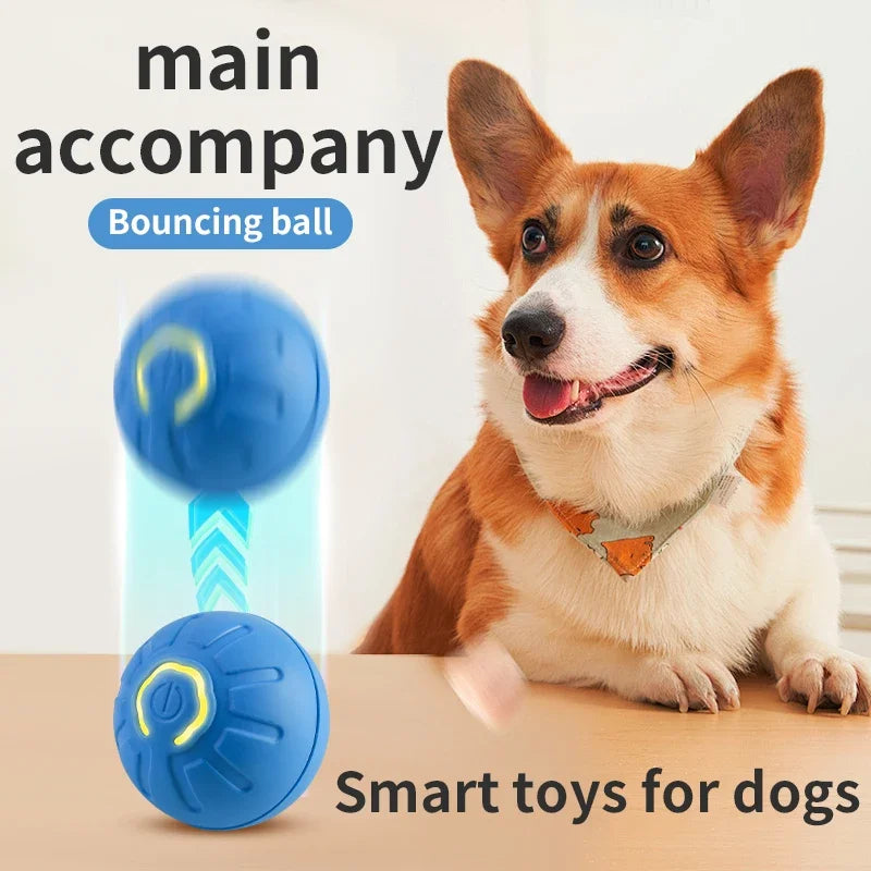 Smart Interactive Pet Toy Ball