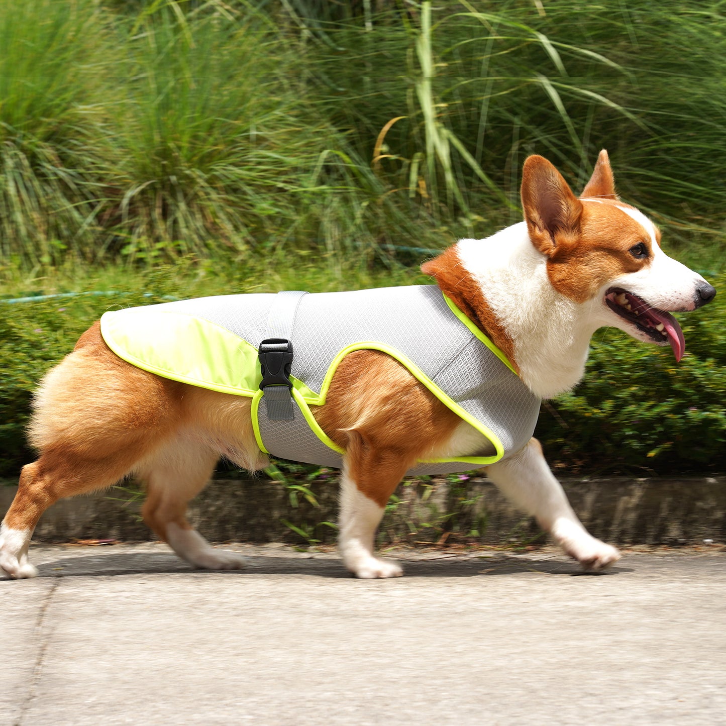 Pet Dog Cooling Clothing