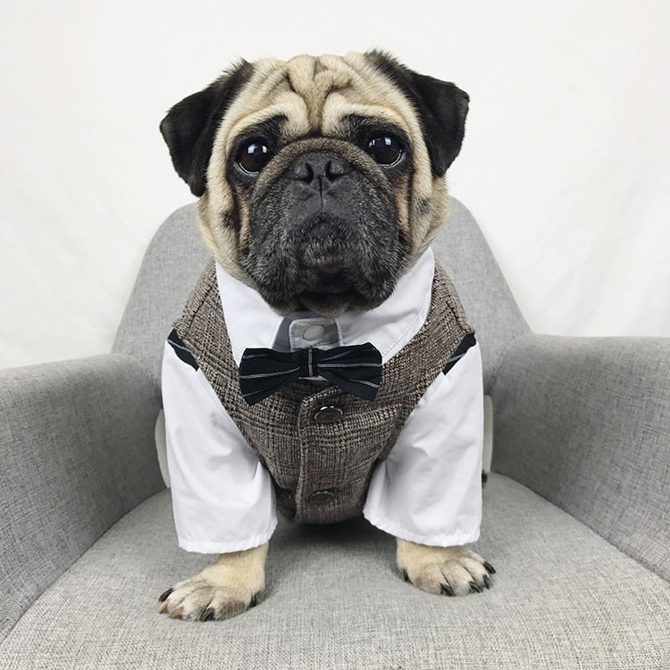 Pet Wedding Outfit for Small Dogs