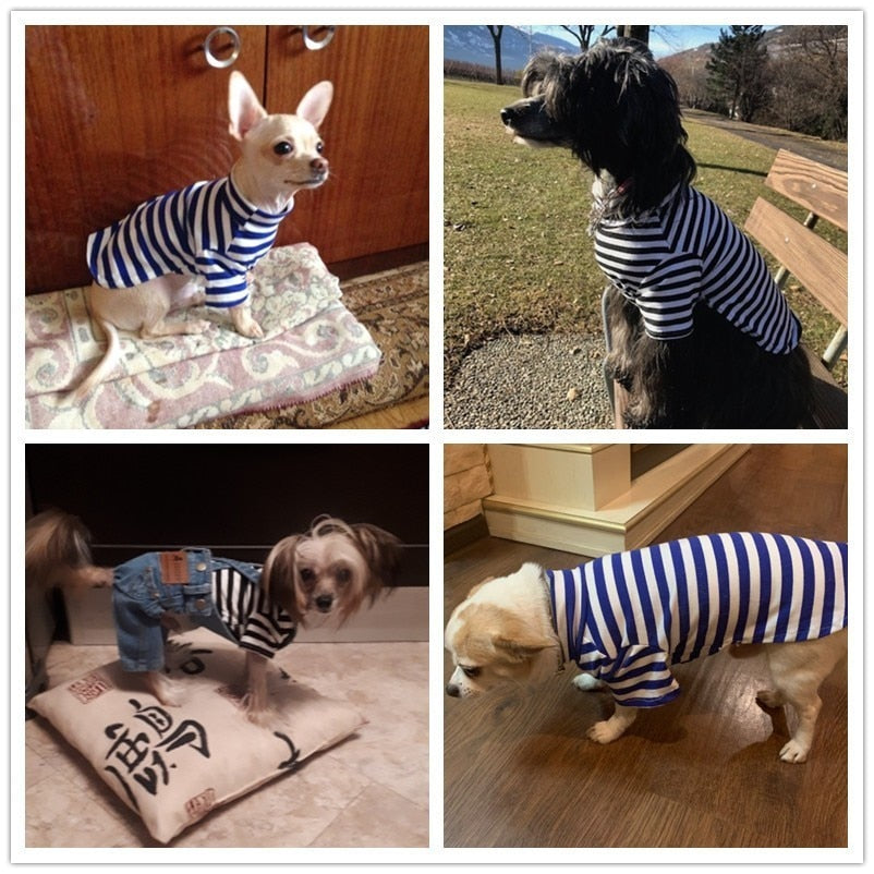 Summer Pet Dog Cat Clothes