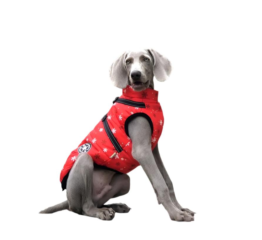 Christmas Big Dog Clothes for Winter