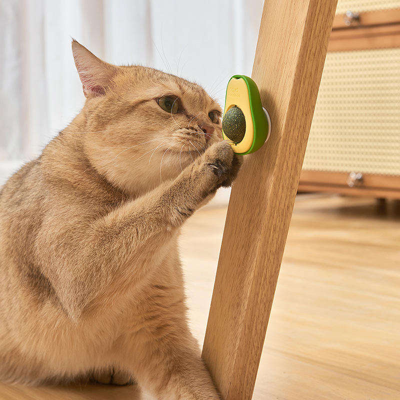 Rotating Catnip Avocado Shape Pet Toy Healthy Intestine Cat