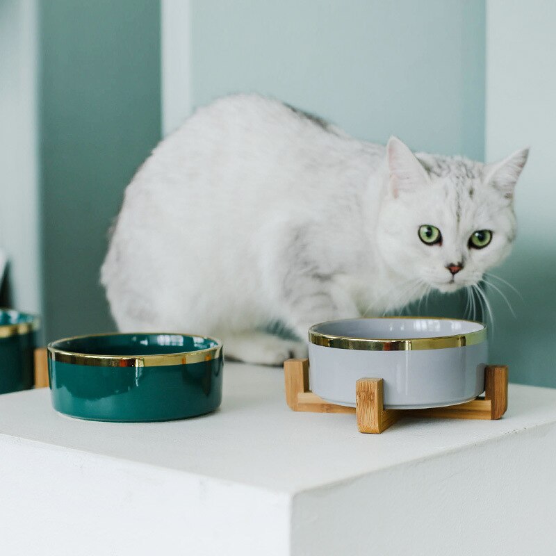 Ceramic Pet Feeder Bowl Set - Bamboo Frame