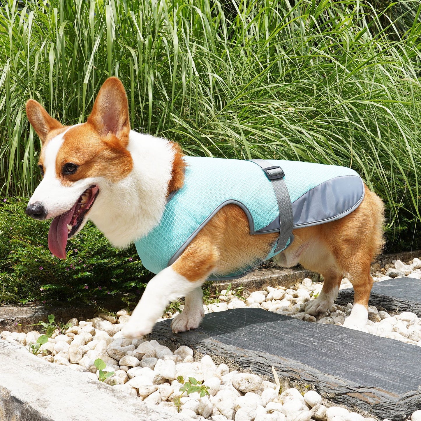 Pet Dog Cooling Clothing