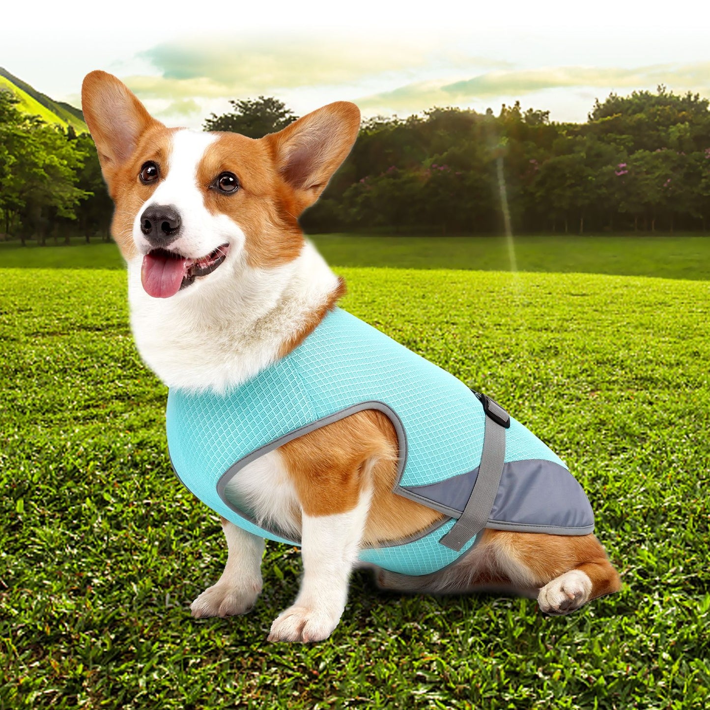 Pet Dog Cooling Clothing