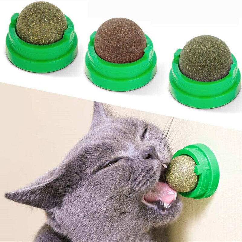 Catnip Ball Treat Toy