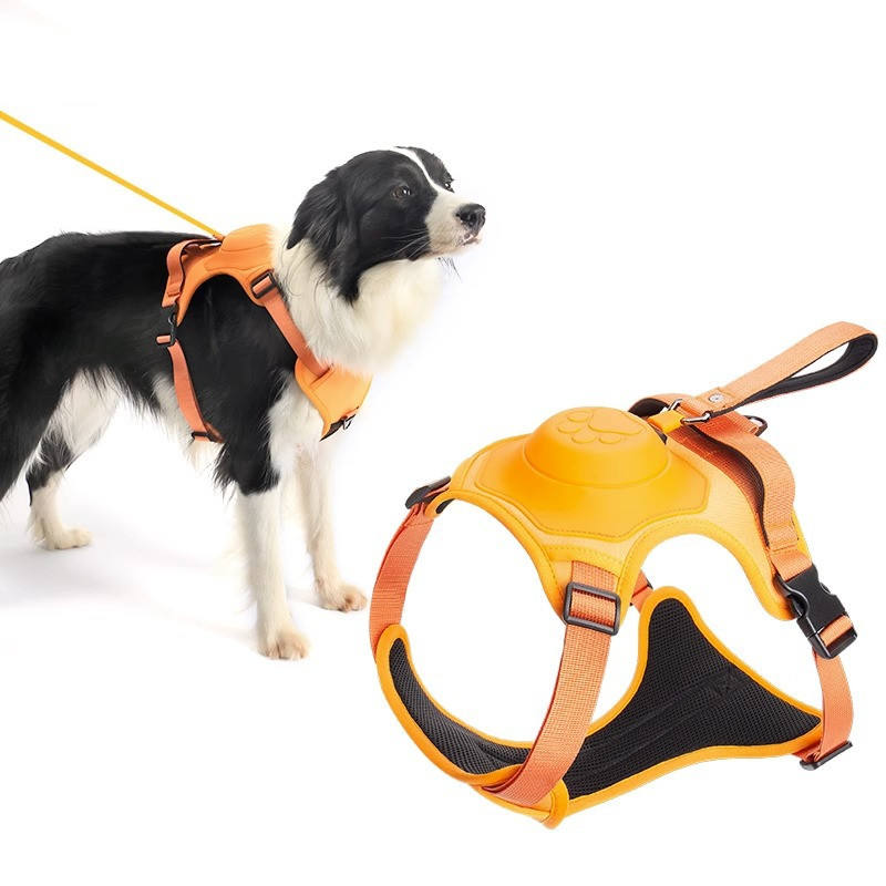 Retractable Dog Leash Set