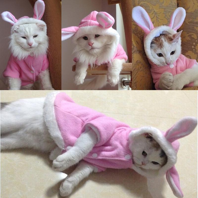 Pet Cat Dog Clothes