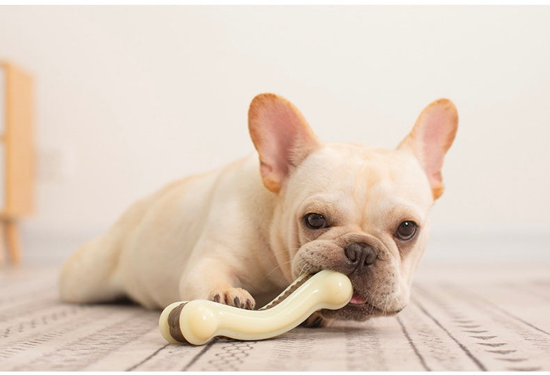 Colorful Bell Ball Dog Toy