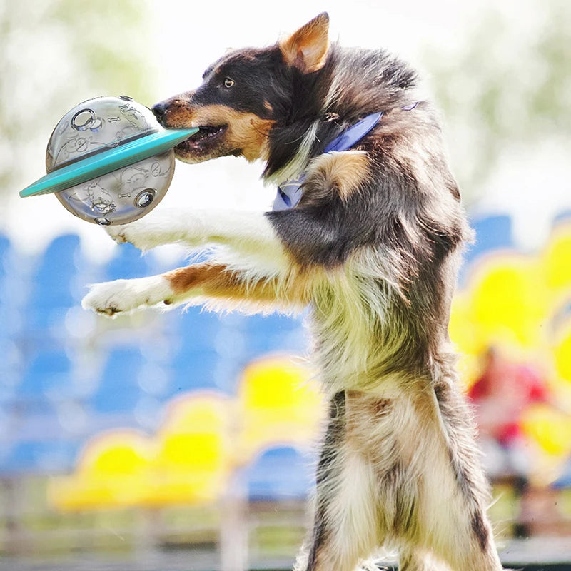 Dog  Flying Saucer Toys  Chew Leaking Slow Food Feeder