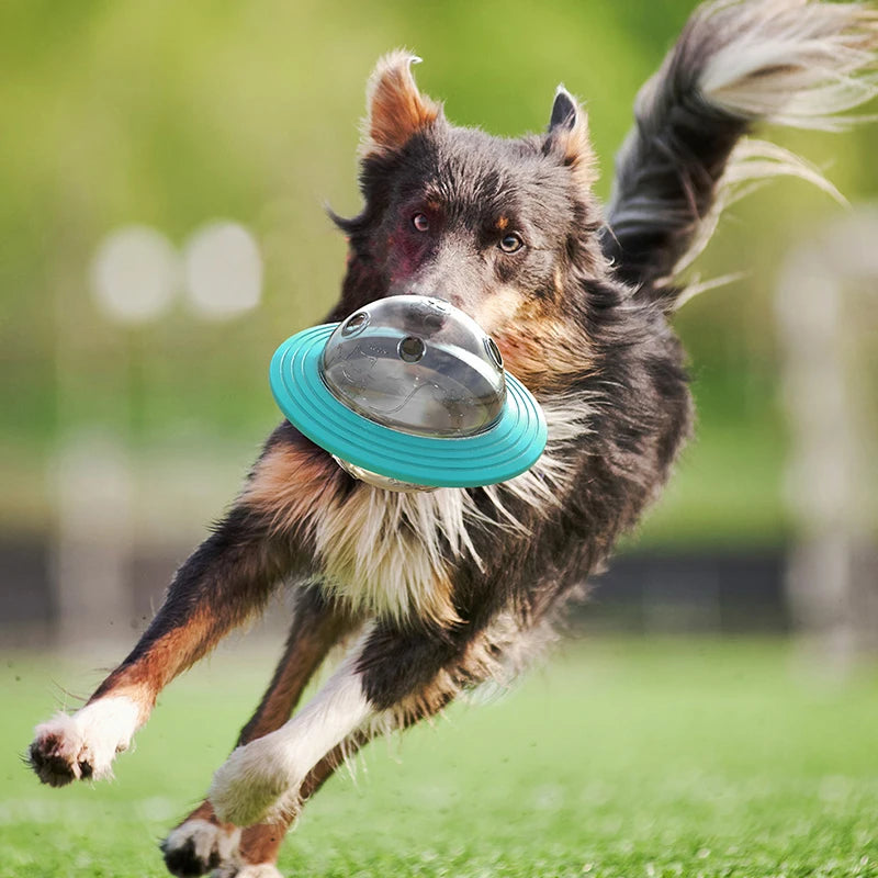 Dog  Flying Saucer Toys  Chew Leaking Slow Food Feeder