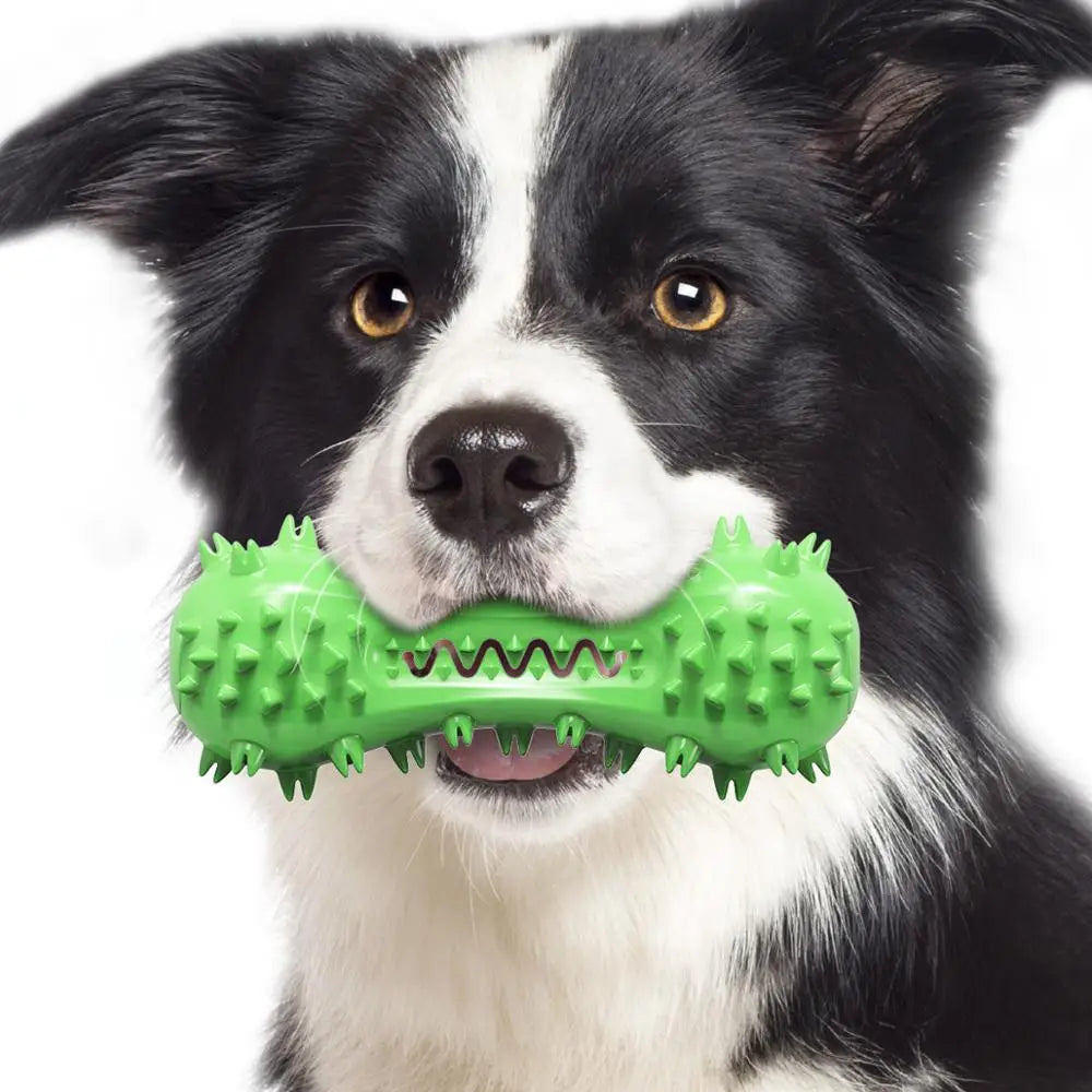 Squeaky Dumbbell Dog Chew Toy