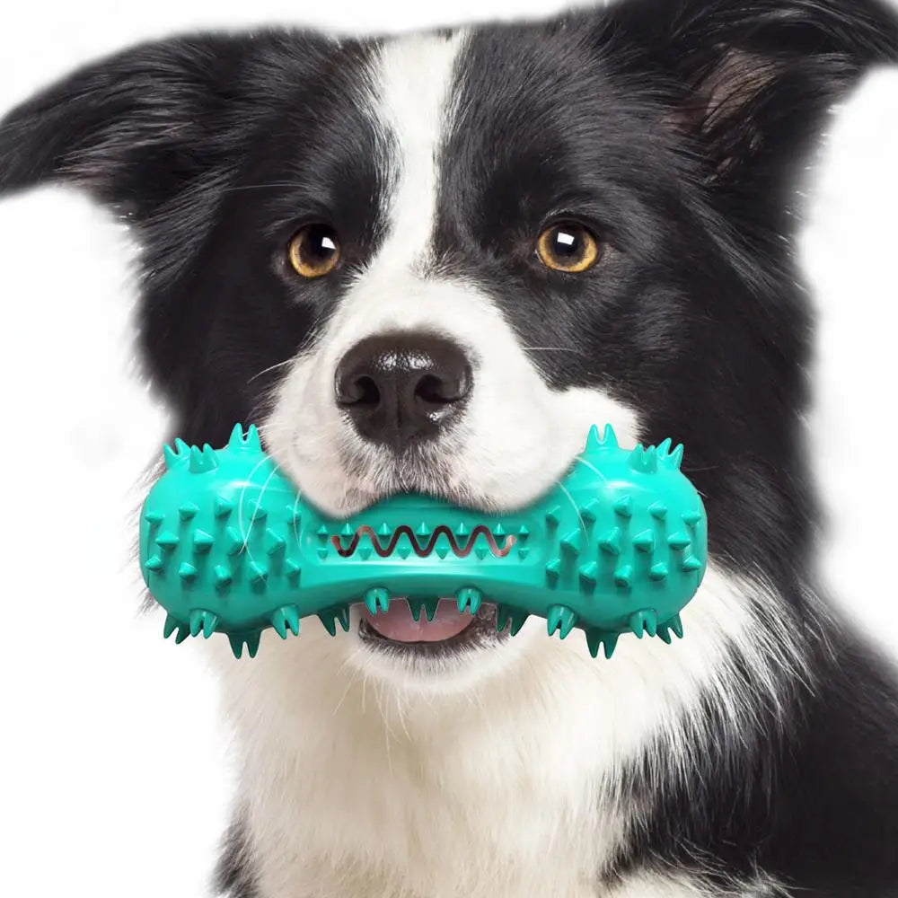 Squeaky Dumbbell Dog Chew Toy